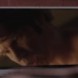 Humour HBO