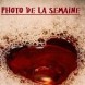 Photo de la semaine
