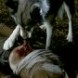 Episode 501 les moments forts!