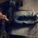 Saison 5: la plus controvers�e selon Ryan