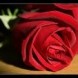D�bat sp�cial Saint Valentin