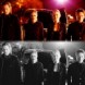Inside the episode.