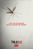 True Blood Campagne de PUB pour la saison 3 