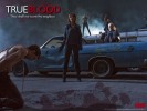 True Blood Wallpapers 1024x768 
