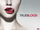 True Blood Wallpapers 1024x768 