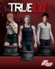 True Blood True Blood et ses figurines 