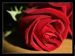 2010-02-10 22-56-00