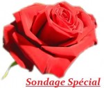 2010-02-12 22-17-00